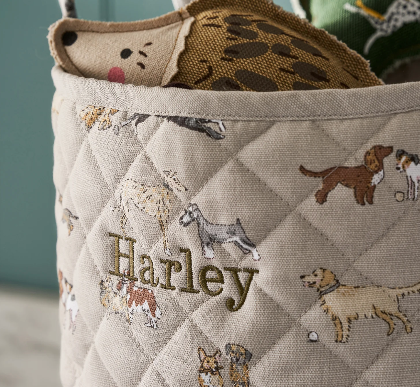 Interior Design Tips for Pet Owners That Don’t Compromise Style