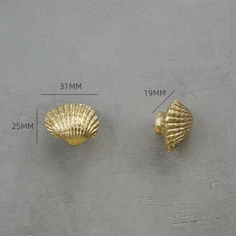 Seashell Knobs | Concha