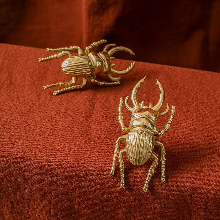 Brass Scarab Beetle Cabinet Knob | Scarabaeus