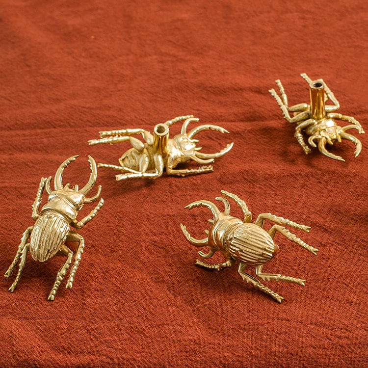 Brass Scarab Beetle Cabinet Knob | Scarabaeus